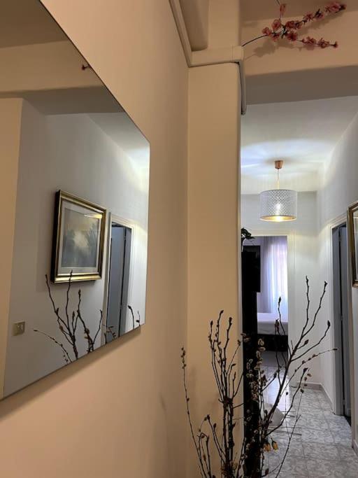Candelor'S House - Apt & Garden In Gianicolense רומא מראה חיצוני תמונה